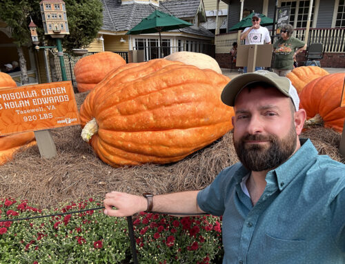 Harvest Festival & Great Pumpkin LumiNights at Dollywood